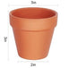 Pots en terracotta pour mycélium de morille (paquet de 20)
