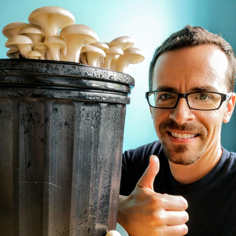 Initiation à la culture des champignons