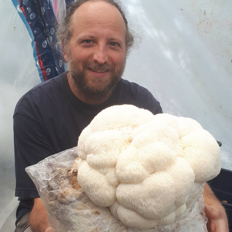 Ateliers pratiques de culture de champignons en laboratoire et en contenants