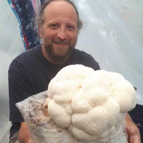 Ateliers pratiques de culture de champignons en contenants et en laboratoire