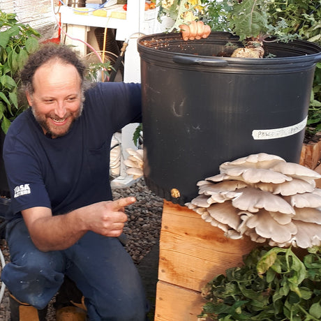 Ateliers pratiques d’initiation à la culture des champignons